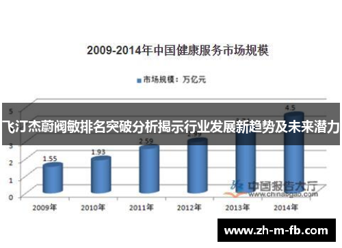 飞汀杰蔚阀敏排名突破分析揭示行业发展新趋势及未来潜力