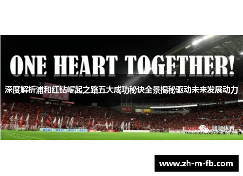 深度解析浦和红钻崛起之路五大成功秘诀全景揭秘驱动未来发展动力