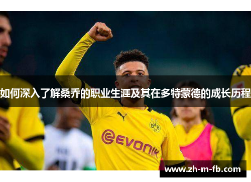 如何深入了解桑乔的职业生涯及其在多特蒙德的成长历程 如何深入了解桑乔的职业生涯及其在多特蒙德的成长历程