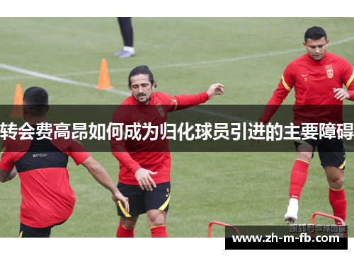转会费高昂如何成为归化球员引进的主要障碍
