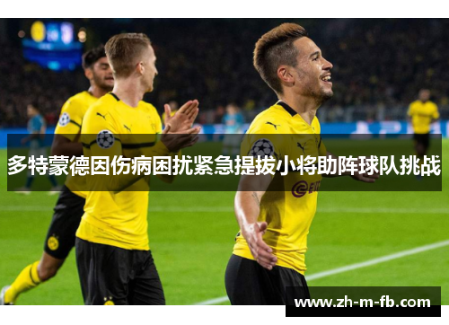 多特蒙德因伤病困扰紧急提拔小将助阵球队挑战 多特蒙德因伤病困扰紧急提拔小将助阵球队挑战
