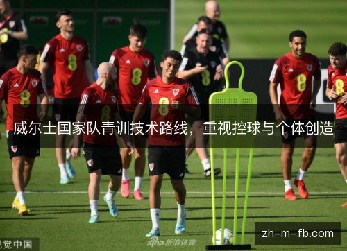威尔士国家队青训技术路线,重视控球与个体创造 威尔士国家队青训技术路线,重视控球与个体创造